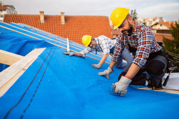 Best New Roof Installation  in Carthage, IL
